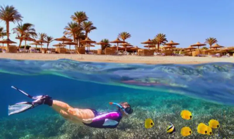Ras Mohamed National Park snorkeling — vibrant coral reef, boat trip from Sharm el-Sheikh